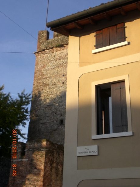 Prospero Alpini's home - 02.JPG